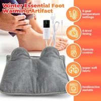 Chauffe-pieds électrique portable à brancher, norme européenne, conception à double spirale, contrôle de la température à 9 niveaux, minuterie à 4 niveaux