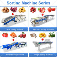 HNOC Machine voor het sorteren van verse citroenen, fruitverwerkingsmachine, machine voor het sorteren en classificeren van palmen, dadels en tomaten op maat en kwaliteit