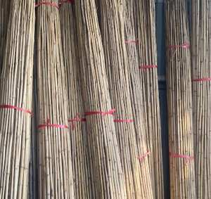 Piquets de jardin en bambou naturel écologique bon marché en gros Piquet de bambou pour le jardinage et la construction avec des matières premières - Product Image 5