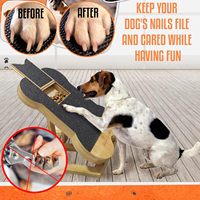Planche à gratter pour ongles de chien avec boîte à friandises, tampon à gratter pour chiens en forme d'os pour ongles, pattes, jouet de lime à ongles en bambou pour chien
