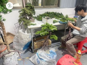Thực Tế Cao Nhân Tạo Tuyết Tùng Cây Thông Trong Nhà Ngoài Trời Vườn Cảnh Quan Bonsai Trang Trí Nội Thất Nhựa Bền Gỗ Nhân Tạo - Product Image 5