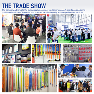 Nhà Sản Xuất Mini Kéo Máy Kéo Xe Mạ Kẽm Cáp Của Nhãn Hiệu Tời Tay Cho Thuyền Trailer - Product Image 6