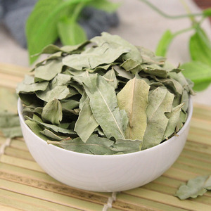 Luo Bu Ma Ye Cina alami kering kebiruan Dogbane Apocynum veneton daun untuk teh