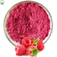Produk penjualan terbaik bubuk jus Berry buah Raspberry hitam alami