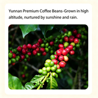 Kapsul Kopi Dingin Yunnan Coffee Bean Design, Bubuk Kopi Hitam Instan Terkonsentrasi, Kemasan Kotak, Segar dan Premium, Mudah Dibawa Bepergian
