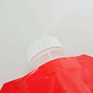 Pochette souple refermable en PE écologique de 2 gallons avec grand bec verseur pour huile de voiture et nettoyant vitres liquide - Product Image 2