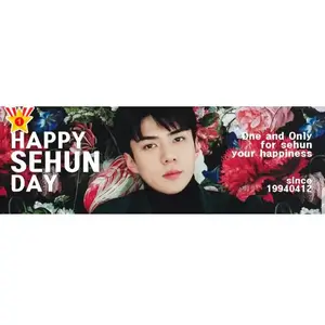 Fabricant Double Face Happy Birthday Banner Stand Custom Hand Fans Cheering Kpop Slogan Hanging Banner