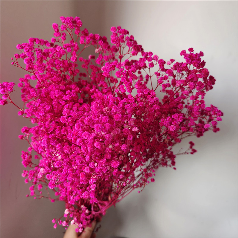 Rouge rose