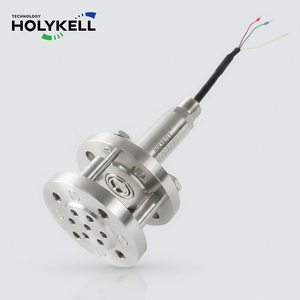 เซ็นเซอร์วัดระดับแบบจุ่มใต้น้ำ Holykell พร้อมดีไซน์ป้องกันการอุดตัน สำหรับการตรวจสอบตะกอนและสารแขวนลอย - Product Image 1