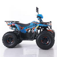 Tao Motor tout-terrain Buggy de plage à quatre roues Double quatre roues ATV adulte 110 personnalisé automatique 12V 5AH Atv 125cc Atv 110cc
