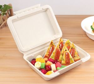 PFAS-freie 9x6 Clamshell Lunchbox aus Bagasse, kompostierbar, ölbeständig, kompostierbare Meal-Prep-Behälter für Takeaway - Product Image 4