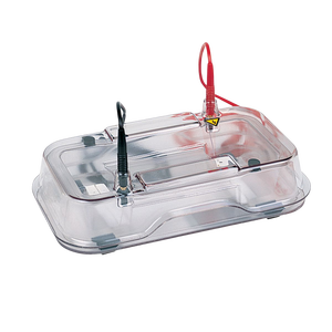 होफर प्रयोगशाला मिनी पनडुब्बी क्षैतिज आगोरेली जेल इलेक्ट्रोफोरेसिस यूनिट बायोमोलेक्यूल्स डाना न्यूक्लिक एसिड इलेक्ट्रोफोरेसिस - Product Image 2