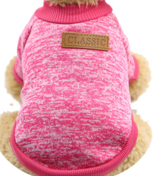 Rosa 6
