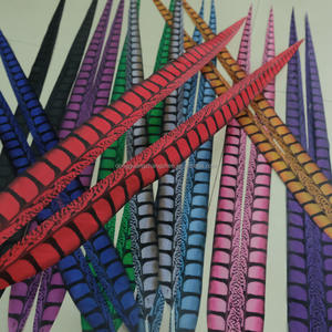 100cm Teint Lady Amherst Faisan Queue <span class=keywords><strong>Plume</strong></span> pour Carnaval Costume Samba Danse Performance Festival Déco - Product Image 2