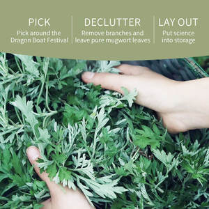 漢方伝統灸パッチ 痛み緩和 温熱パッチ 新製品 よもぎ灸薬 - Product Image 3