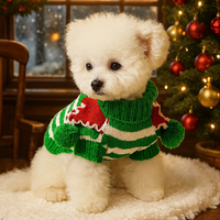 Chapeau de sorcier en tricot chaud pour chien, motif citrouille de dessin animé, pour Noël, accessoires de tenue de fête hivernale