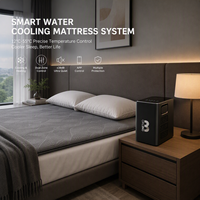 Système de matelas rafraîchissant à base d'eau pour chambre à coucher, hôtel et usage médical avec système de refroidissement de lit