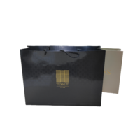 Machine à sacs en papier pour les robes Cadeau pour le logo Emballage Art Craft Tote Full Small Printed Shopping Own Paper Bag Machine
