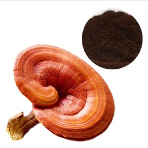 Hot bán Trung Quốc Reishi bào tử bột tường bị hỏng Ganoderma lucidum bào tử bột khô nguyên chế biến AD quá trình sấy khô - Product Image 1