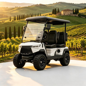 Carrito de Golf Eléctrico, Buggy de Golf con Suspensión de Doble Horquilla, Vehículo Utilitario para Parques de Vacaciones, para Uso en Carreteras No Públicas, DOT CE EEC - Product Image 1