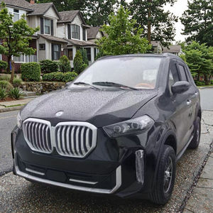 Système de direction gauche-droite personnalisable, nouvelle conception, véhicule familial pour adultes Falcon <span class=keywords><strong>Taxi</strong></span> à faible vitesse, 3500W, fabricant direct - Product Image 4