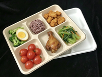 Barquette alimentaire biodégradable en canne à sucre, compatible micro-ondes, écologique, en bagasse, jetable, avec cinq compartiments pour buffet