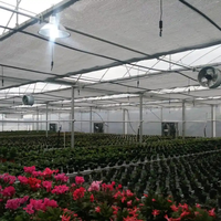 Serre agricole en film plastique pour tomates, modèle tête de vache espagnole, avec structure métallique, pour horticulture tropicale, prix