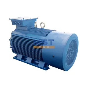 Sale 22KW High Efficiency Asynchronous Electric 3 Phase Squirrel Cage High Torque AC Motor