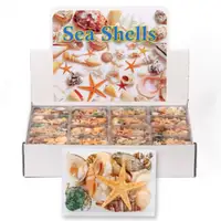 Commercio all'ingrosso fai da te decorazione della spiaggia conchiglie miste naturali accessori gioielli artigianato conchiglia In una scatola diversi tipi di giocattoli