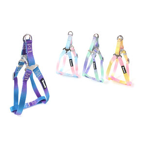 Harnais pour animaux de compagnie en nylon 2,5 pouces, dégradé arc-en-ciel, triangle, 2,5*50-70 cm - Product Image 2