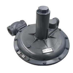 Pièces de chaudière neuves d'origine US America SENSUS 243-8 243-12 122-12 pour la réduction de gaz - Product Image 1