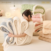 Plaid Premium Double Couche Ultra Épais Haute Densité Toutes Saisons en Microfibre Jacquard 100% Polyester Lavable en Machine OEM