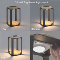 Ideas de Regalos de Navidad: Lámpara de Mesa Moderna Negra y Faroles Solares de Jardín para Exteriores, Disponibles en Stock para Envío Inmediato