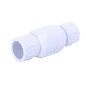 China Supplier Manufacture White Color 1 Inch Spring Pvc Check Valve