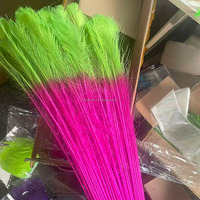 Plumes de paon bicolores teintées et décolorées en gros, plumes de paon dégradées pour costumes de carnaval, coiffes et décorations de fête