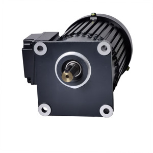 2200W 220V 380V 415V 3 Fase <span class=keywords><strong>1hp</strong></span> Gear <span class=keywords><strong>Motor</strong></span> Met Rem - Product Image 4