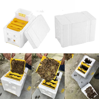 Matériel d'apiculture, boîte de ruche en plastique pour abeilles, ruche en mousse EPS, mini ruche pour la reproduction des reines, boîte de ruche