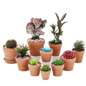 กระถางเซรามิกดินเผาสำหรับปลูกไม้อวบน้ำ มีรูระบายน้ำเคลือบเงา เป็นมิตรกับสิ่งแวดล้อม ทนทาน ระบายอากาศได้ดี เหมาะสำหรับบ้านและสวน - Product Image 2