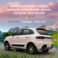 Lumingwei Scooter Eléctrico de Cuatro Ruedas para Movilidad Doméstica de Personas Mayores, Vehículo Totalmente Cerrado de Baja Velocidad, Nuevo Modelo, Coche de Nueva Energía