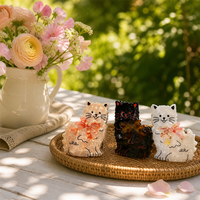 Vente en gros OEM ODM, pince à cheveux légère et portable avec logo personnalisé, motif chaton de dessin animé, en acétate, 8,4 cm