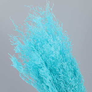 ดอกลิโมเ<span class=keywords><strong>น</strong></span>ียมแห้งธรรมชาติขายส่ง สำหรับตกแต่งบ้านในเทศกาลอีสเตอร์ ขนาด 70 ซม. - Product Image 5