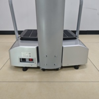 Appareil de massage Crazy Fit à usage domestique Appareil de massage de beauté électromagnétique Plaque vibrante Machine Pièces de rechange sûres Vertical