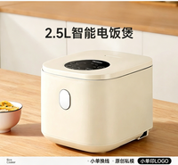Mini-cuiseur à riz intelligent portable, cuve électrique avec séparation du sucre, boîtier en plastique multifonctionnel, pour 2-3 personnes
