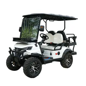 Moteur de moyeu TONGCAI 36v dc moteur roues 12 pouces dot scooter 4 roues 8 "pneus crantés 4x4 mini bus électrique voiturette de golf à vendre