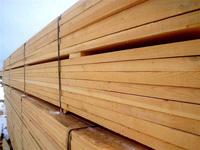 Wholesale Wood Larch and Swan Wood Natural Timber Materials Spruce and Pine Wood for Construction Purposes