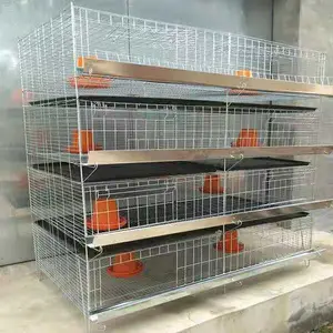 Cages à couvain de vente directe d'usine Couveuse à œufs entièrement automatique et Hstcher