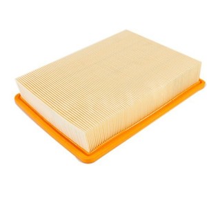 Filtre à air pour Chevrolet, taille standard, numéro de pièce de rechange 10296746 - Product Image 1