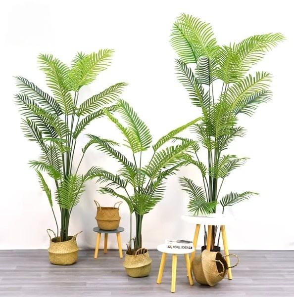 Tournesol vert de haute qualité, nouvelle récolte.