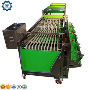 Endüstriyel ekşi tatlı limon ananas zeytin kiraz incir meyve boyutu kalibre makaralı konveyör sıralama endüstriyel greyder makinesi - Product Image 3
