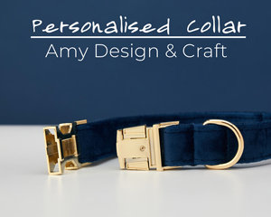 Collar personalizado para perro y conjunto de correa con pajarita, collar de terciopelo azul marino, regalo de boda para cachorro, envío gratis - Product Image 5